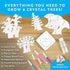 Kids Crystal Growing Kit, Grow 6 Crystal Trees in 6 Hours, Educational STEM Craft Kit with Art Supplies