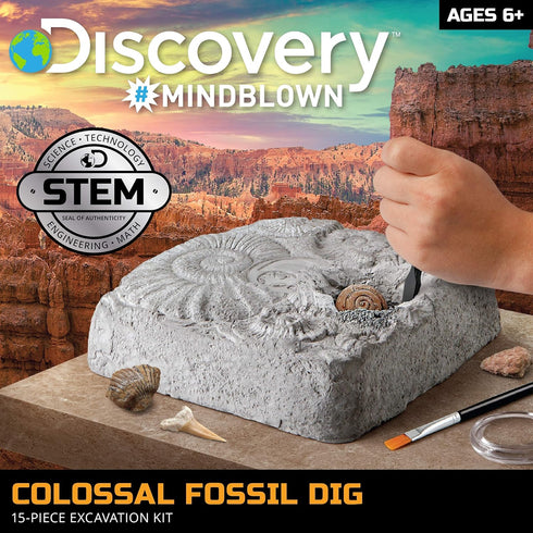 Discovery #MINDBLOWN Colossal Fossil Dig Set, 15-Piece Archeology Excavation Kit, Uncover Real Shark Teeth