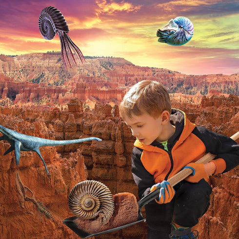 Discovery #MINDBLOWN Colossal Fossil Dig Set, 15-Piece Archeology Excavation Kit, Uncover Real Shark Teeth