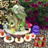 26 Pieces Dollhouse Plant Miniature Bonsai Mini Potted Plant Flower Model Tiny Fake Greenery Ornament Dollhouse