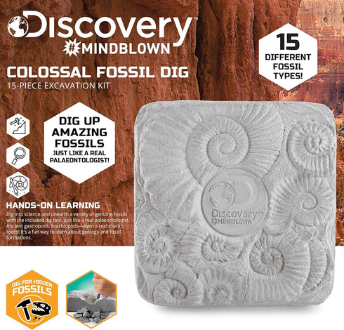 Discovery #MINDBLOWN Colossal Fossil Dig Set, 15-Piece Archeology Excavation Kit, Uncover Real Shark Teeth