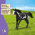 7" 5+ 14900 Schleich Horse Club - Paint Horse Gelding - Collectable, Realistic Toy Horse Figurine for Girls and Boys