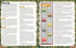Everyday Heroes Kong: Skull Island Cinematic Adventures Roleplaying Game, Orange