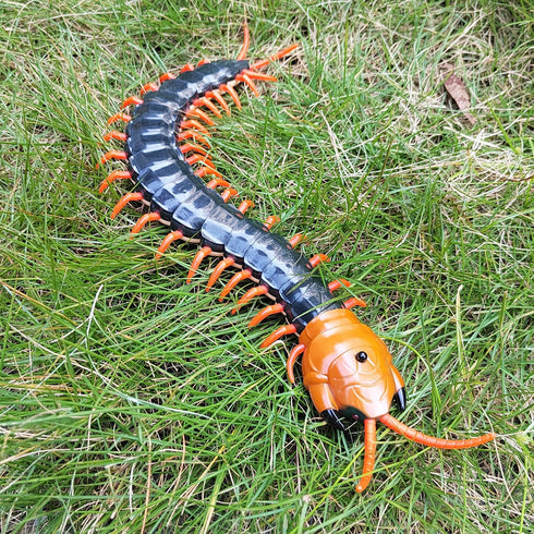 Tipmant Realistic Large Size RC Centipede Scolopendra Animal Toy Infrared Remote Control Vehicle Car Scary Prank Kids