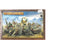 Orc & Goblins Spider Riders for Warhammer Fantasy