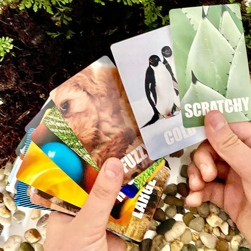 3 4 5 6 Hapinest Find and Seek Scavenger Hunt Card Game, Indoor Outdoor Activities for Kids Toddler & Family, Beach