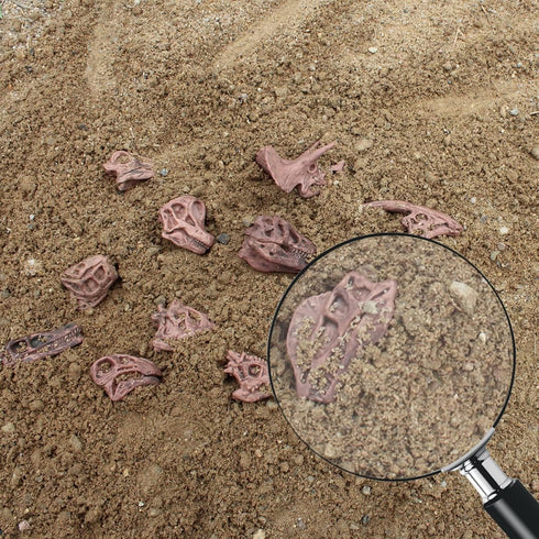 11PCS Set LC JoyCre Realistic Mini Dinosaur Bones T-rex Skull for Sandbox Kids Toys Carnotaurus Velociraptot