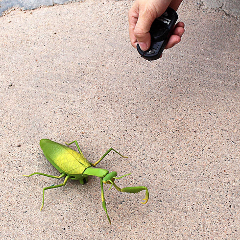 Tipmant RC Praying Mantis Toy, IR Remote Control Animal, Realistic Insect Car for Kids Birthday Gifts