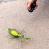 Tipmant RC Praying Mantis Toy, IR Remote Control Animal, Realistic Insect Car for Kids Birthday Gifts