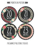Pregnancy Weekly Belly Growth Stickers - Large Set of 36, Maternity Keepsake Photo Prop