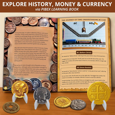 16+ 6+ PIBEX Pirate Treasure Coins Dig Kit Dig & Collect Ancient Metal Coin Replicas, Fools Gold & Pirate Charms STEM