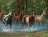 Springbok 500 Piece Jigsaw Puzzle Summer Creek Multi, Large/18 x 23.5"