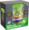 Dan&Darci Light-Up Terrarium Kit for Kids - STEM Science Kit - Educational