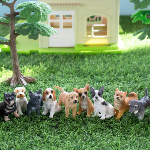 Toymany 12PCS Mini Dog Figurines Toy Set, Realistic Detailed Plastic Puppy Figures, Cake Toppers Gift
