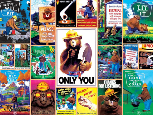 MasterPieces 550 Piece Jigsaw Puzzle - Smokey Bear for Adults, Family, or Youth - 18"x24"