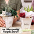 6 Hapinest DIY Potted Felt Succulents Craft Kit for Adults Women Teens and Seniors, Arts & Crafts for Ages Years and Up
