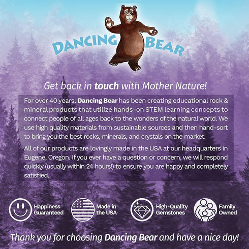 DANCING BEAR Meteorite from Space, 5 pcs Campo del Cielo from Argentina, Educational Card & Magnifying Box