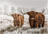 MyPuzzle Hairy Scottish Highland Cattle in A Winter Landscape, Premium 1000 Piece Jigsaw Puzzle