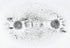 Bulk Iron Filings, 1 LB for Science Experiments by American Heritage Industries