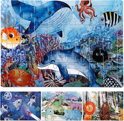 4 in 1 Increasing Difficulty Kids Puzzle, Ages 3-8, 24-60 Piece Educational Puzzles for Boys and Girls
