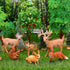 Animal Figures 6pcs - Plastic Woodland Animals Action Model for Science Project, Learning Educational Toys, Birthday