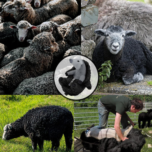 AGRIMONY Cute Shaved Black Sheep Stuffed Animals - Kawaii Lamb Plush Toys, Funny Gifts for Kids Girls Boys