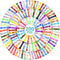 Jerify 200 Pcs Marble Mesh Fidgets Toys Colorful Marble Fidgets Sensory Stress