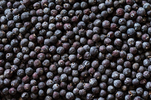 16Oz 100% communis Albania Juniper Berries - (Real Wild Harvest) | USDA Certified Organic | Bulk Juniper Berry