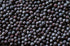 16Oz 100% communis Albania Juniper Berries - (Real Wild Harvest) | USDA Certified Organic | Bulk Juniper Berry