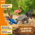 5PC Playset 5+ 77590 Schleich Wild Life - Exotic Animal Starter Figurine Bundle - With Flamingo, Sloth, Frog, Giant