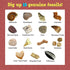 DANCING BEAR Fossil Dig Kit, Excavate 15 Prehistoric Fossils including Real Dinosaur Bones for Kids