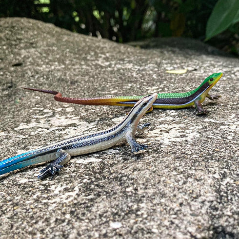 NAKIMO (Set Plastic Lizard Toys Lizard Figurine Realistic Fake Lizards Artificial Model Reptile Toy for Cake Decoration