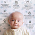 Bella B Cradle Cap Shampoo & Cradle Cap Scalp Treatment | Baby Shampoo and Conditioner for Dry Scalp
