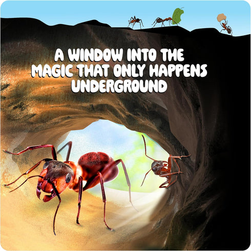Ant Farm Kit for Kids, Educational Science Gifts, Bug Terrarium House for Boys, Girls & Adults