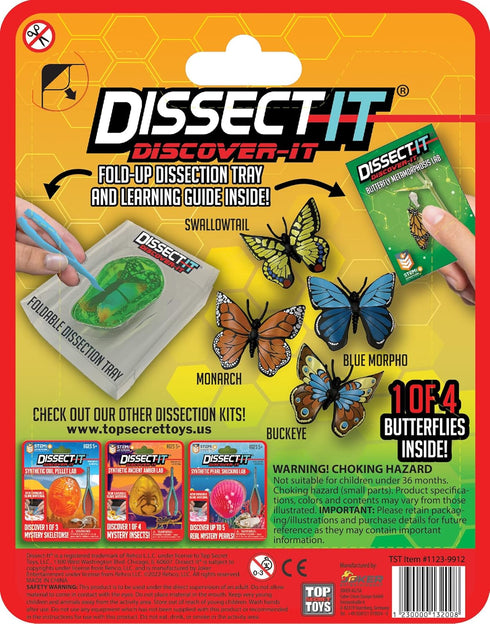 Dissect-It Discover-It Simulated Synthetic Butterfly Metamorphosis Lab Dissection STEM Toy, Kids’ Home Learning Science Project, Great for Young Scientists!