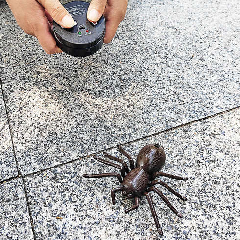 Tipmant Realistic RC Spider Infrared Remote Control Tarantula Animal Vehicle Car Prank Toys Pet Cat Dog Teasing Kid