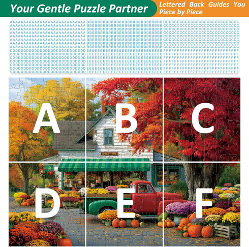VoYouTwo 300 300 Idea,20.5 15In Piece Puzzles for Adults,Spring Flower Shop Puzzle for Adults Kids Seniors,Recycled