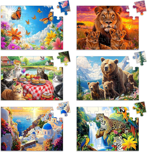 Biarek 6 Packs 24 Piece Puzzle for Seniors, Alzheimer's & Dementia Activities, Easy