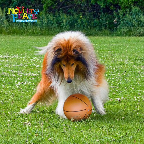Novelty Place 12 Inch Inflatable Basketball Beach Balls Pack of 3, Durable for Indoor and Outdoor Play, Party Favors.