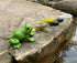 Gemini&Genius Life Cycle of Frog Figurines, Bulk Insect Growth Diary Action Figures, Fun Learning Gifts, Party Favors