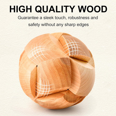 Brain Teaser Puzzles for Adults - 16pcs Disentanglement Metal Wooden Logic Puzzle Gift for Teens
