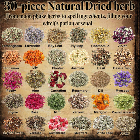 30 Set Witchcraft Kit with Herbs Complete Wiccan Starter with Spell GuideBook, Feather Pen, Parchment Paper & Spoon |