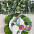 36 Sets Summer Sets Winlyn Crafts Kits DIY Whimsical Bookmarks Decorations Art Fruits Treats Animals Sun Rainbow Foam