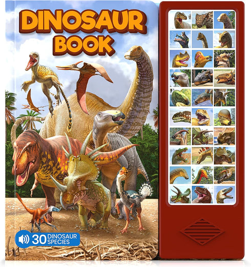 Dinosaur Toys for Kids 3-5 5-7 2-4 Year Old - Dinosaur Book