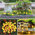 kapeiluo 50Pcs Mini Resin Ducks, Mini Christmas Ducks Miniature Duck Figures Ornament for Craft, Dollhouse, Garden