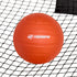 Triumph Sports Rallyball Set, Includes Net Target, Two 3.5" Balls, One 5" Ball, Inflating Pump and Carry Bag