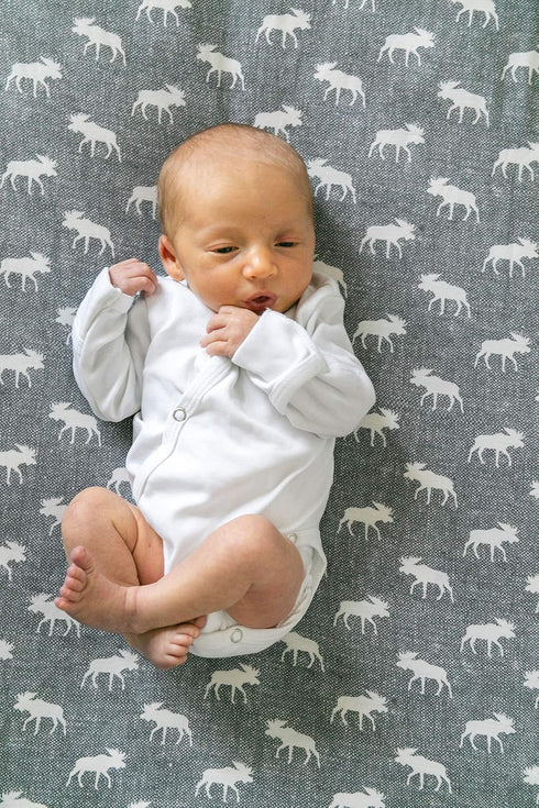 Trendy Knit Crib Sheet/Toddler Sheet in Scout by Copper Pearl