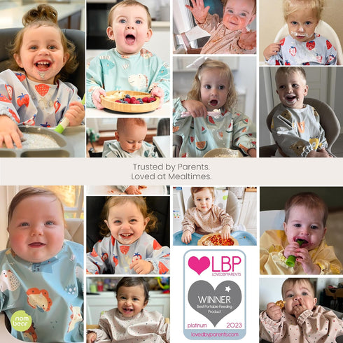6-24 Waterproof Smock Baby Bibs for Eating (Boy or Girl Months) - Toddler Long Sleeve Bib for Baby Led Weaning