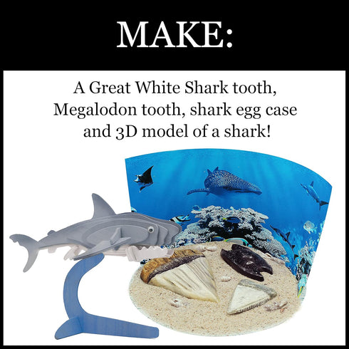 WILD ENVIRONMENTAL SCIENCE Extreme Sharks of the World Craft Kit - Study Models and Dioramas for Ages 6+