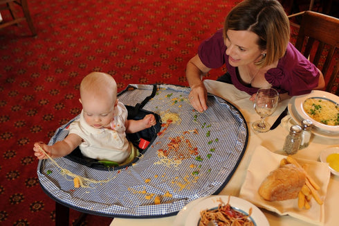 Neatnik Saucer High Chair Cover, Austin